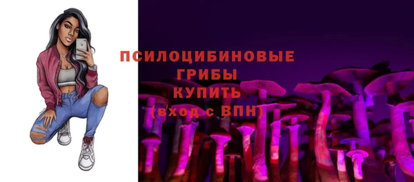 молекула духа Алексеевка
