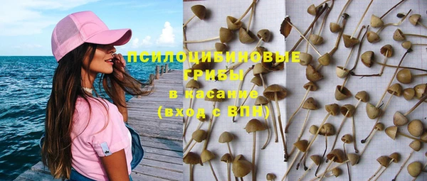 молекула духа Алексеевка