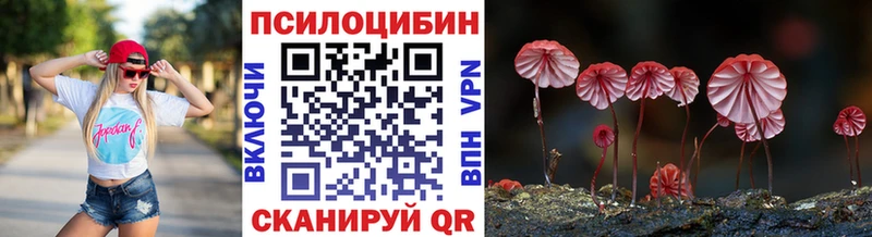 Псилоцибиновые грибы Cubensis  shop наркотические препараты  Покров 